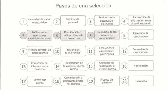 Figura 1. Pasos del proceso de selección. 