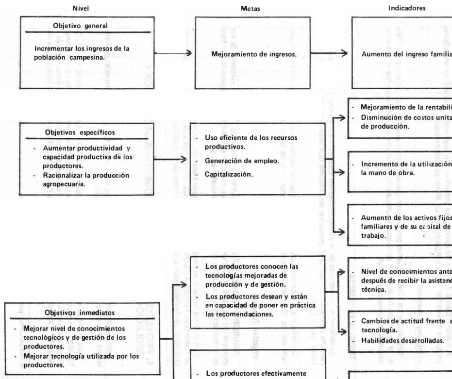 FIGURA  2.  Niveles, metas e indicadores de los objetivos de los proyectos de asistencia técnica municipal