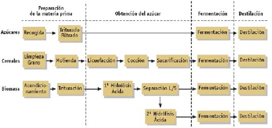 Figura 1.3: Etapas que componen el proceso de obtención de bioetanol. 