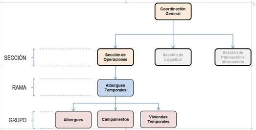Figura 11. Ejemplo de organización de la rama de ‘albergues temporales’