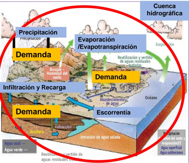 Figura 4. El Ciclo del agua y la cuenca hidrografica. 