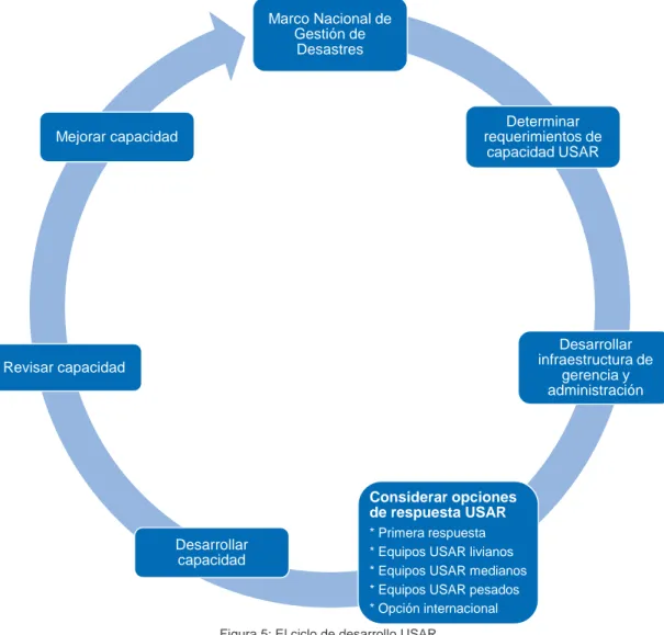 Figura 5: El ciclo de desarrollo USAR. 