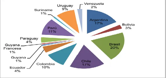 Figura 2. Llegada de turistas por país de América del Sur 2016 (%) 