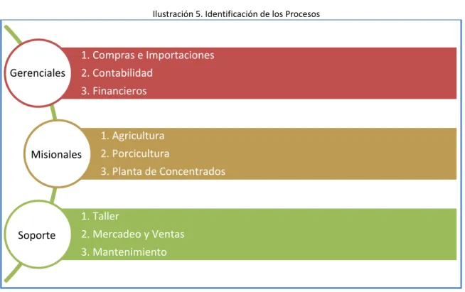 Ilustración 5. Identificación de los Procesos 