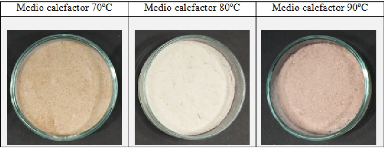 Figura 7. Pruebas preliminares para determinar la temperatura del medio calefactor 