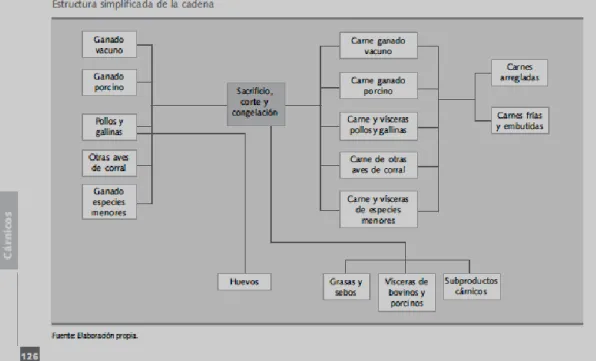 Figura 8. Estructura cadena productiva cárnica Colombia 