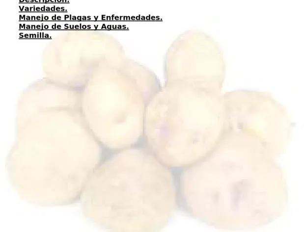 TABLA DE CONTENIDO 
