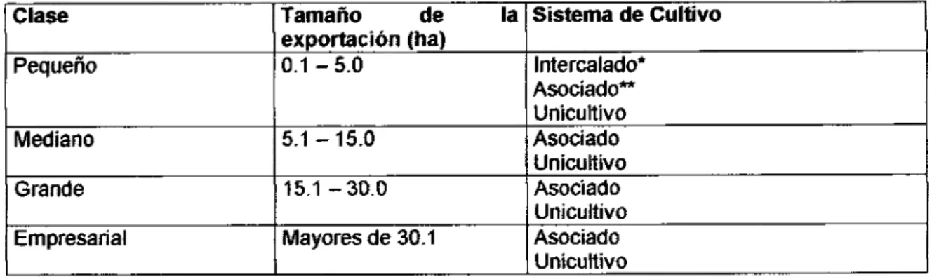 Tabla 2. Clase de productor, tamaño de la explotación y sistema de cultivo