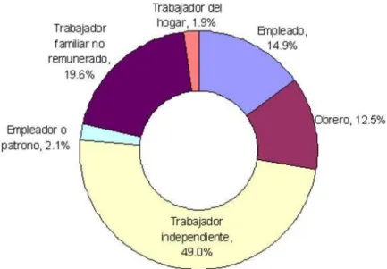 Figura 2.3: PEA de 15 años a más según ocupación.