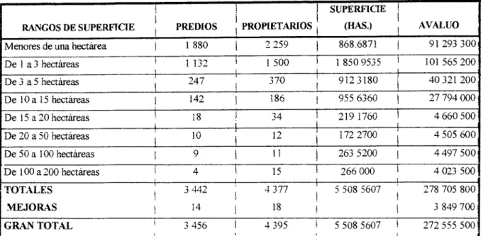 CUADRO 5. RANGOS DE SUPERFICIE 