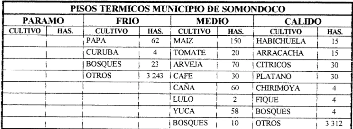 CUADRO 9. USO ACTUAL DEL SUELO 