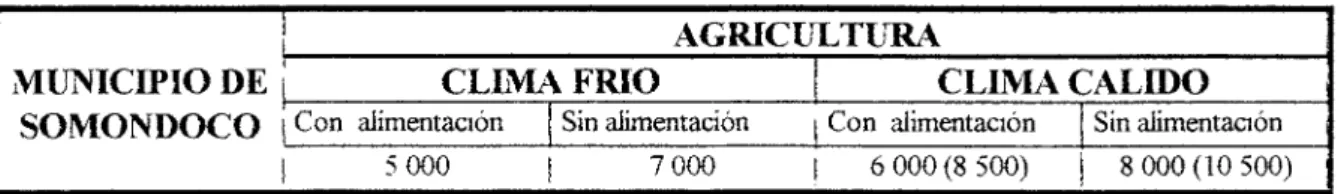 CUADRO 12. JORNALES AGRÍCOLAS. 