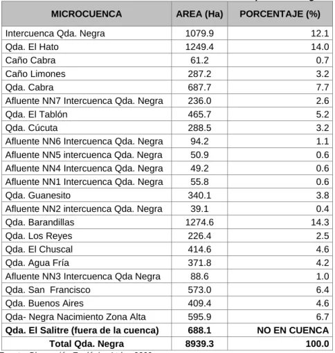 Tabla  13.  Listado de microcuencas de la cuenca de la quebrada Negra. 