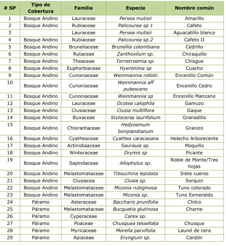 Tabla 2. Listado de especies identificadas por tipo de cobertura vegetal  en la RFPR  cuenca alta del Río Zaque