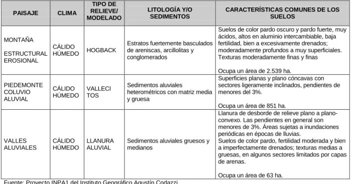 Cuadro 12:  Suelos de la microcuenca de la quebrada La Resaca 