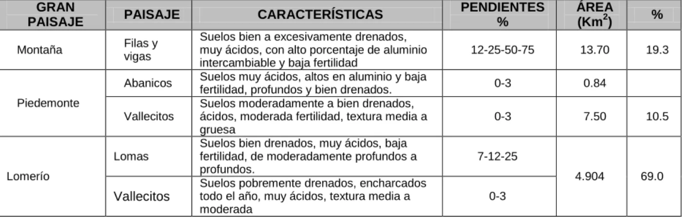 Cuadro 13: Características de los suelos de la microcuenca El Doncello  GRAN 