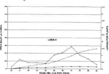Figura 5. D¡námica  poblacional de ,4. catdlaunal¡s  en la linea 4 de ajonjolí c.L Natarma  1996
