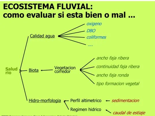 Figura 29.   Esquema de evaluación del ecosistema fluvial 