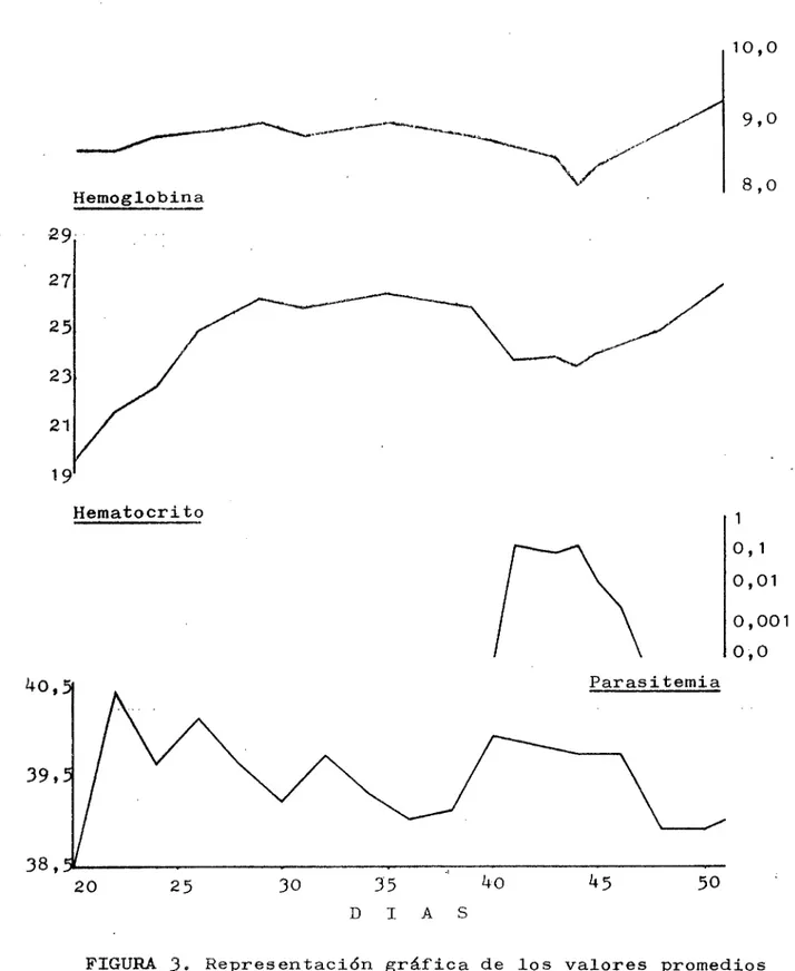 FIGURA  3.  Representación gráfica de los valores promedios de hemoglobina, hematocrito, paras itemia y  tem-peratura del grupo experimental en la fase de campo.
