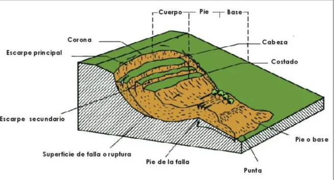 Figura  5.  Elementos  constitutivos  de  un movimiento  de masa  o  de  vertiente  (tomada  de “López