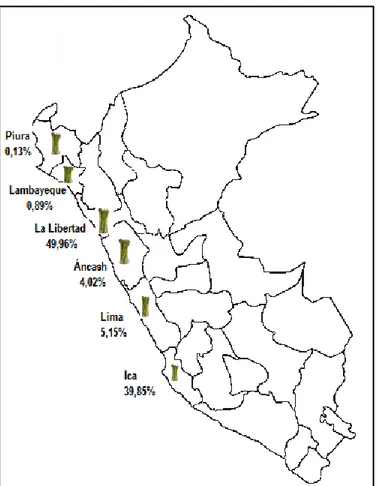 Figura 2. Localización del cultivo del espárrago 