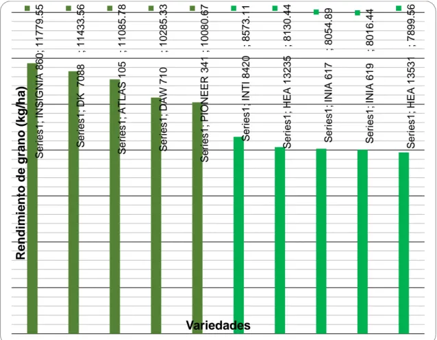 Cuadro  N°  27:  Porcentaje  de  Emergencia  en  el  comparativo  de  10  Hibridos  Experimentales de maiz amarillo duro, Guadalupe-Pacasmayo-La Libertad  2013-2014