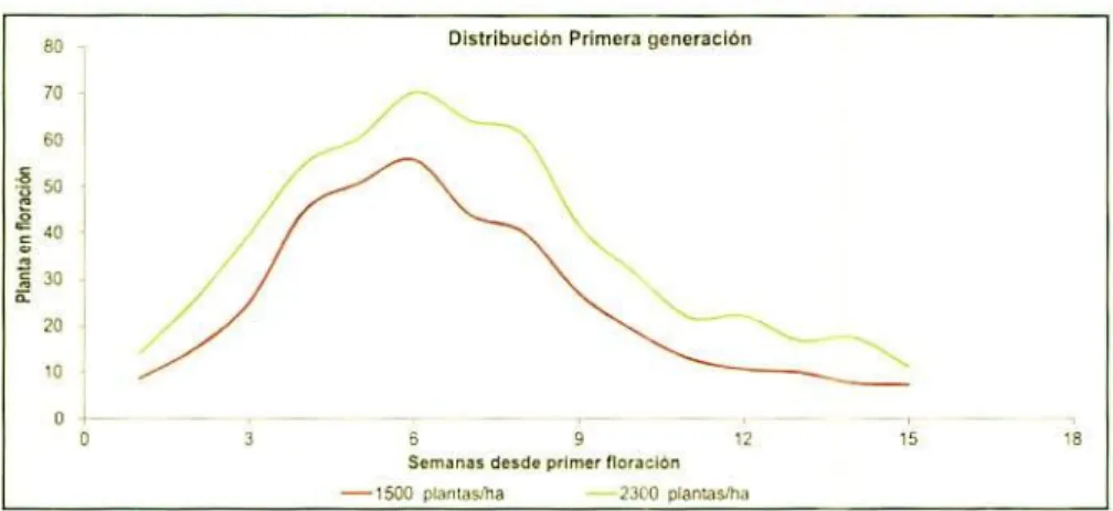 Figura 2. Distribución y u nidd de lOracujP  e1  do densidades  dm  :embro de banano