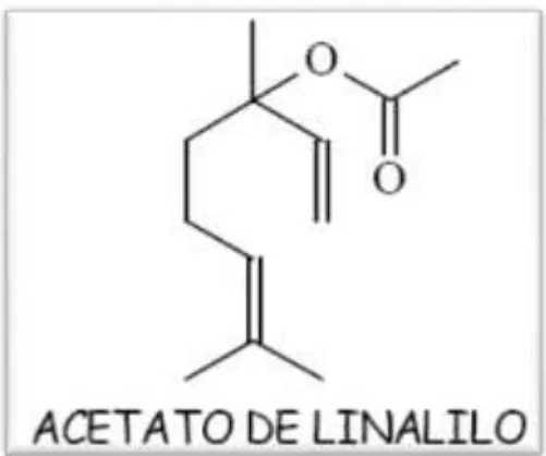 Figura N° 09 Grupo Funcional del Acetato de Linalilo, recuperado de Arraiza, (2000). 