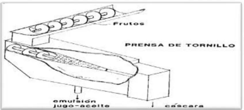 Figura N° 10 esquema de una prensa de tornillo, fuente: haro, (1984). 