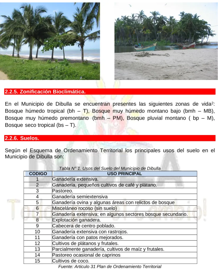 Tabla N° 1. Usos del Suelo del Municipio de Dibulla 