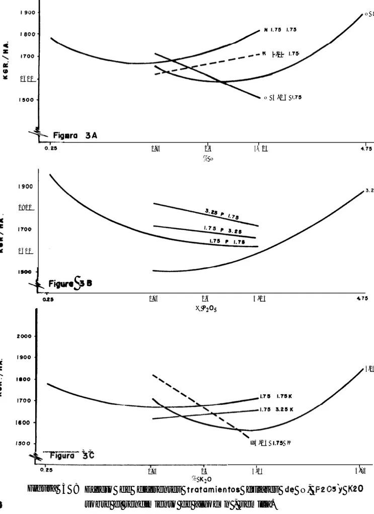 Figura 3 : Efecto de diferentes  ttatamientos  foliares  de  N,  FeCs&gt;   ~0