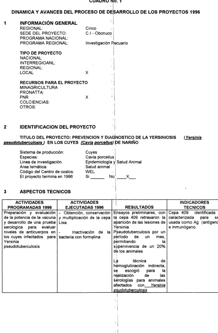 CUADRO Ño.  1