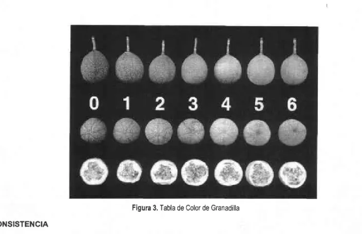 Figura  3. Tabla  de Color  de Granadilla