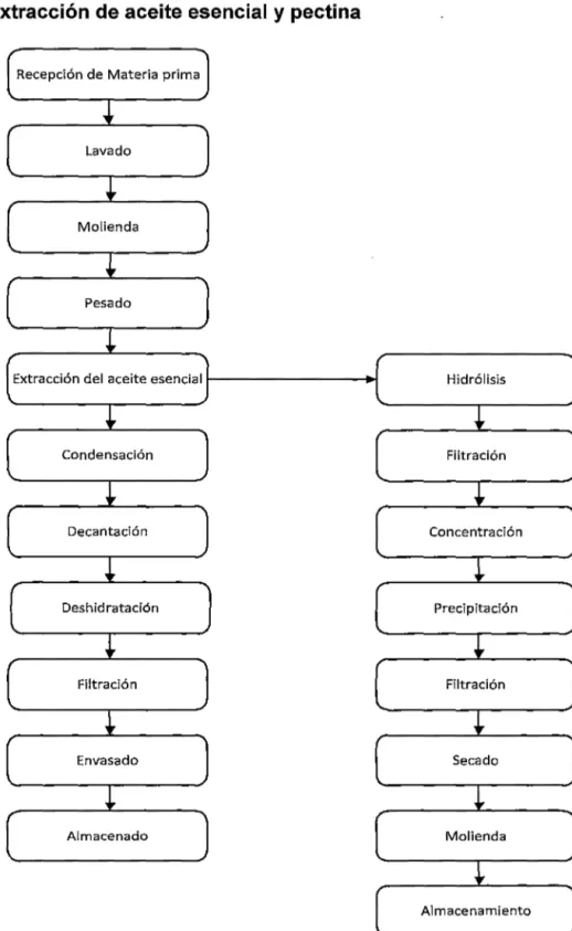 Figura  03.  Diagrama  de  bloque  para  obtención  aceite  esencial  y  pectina a partir de la cáscara de naranja 