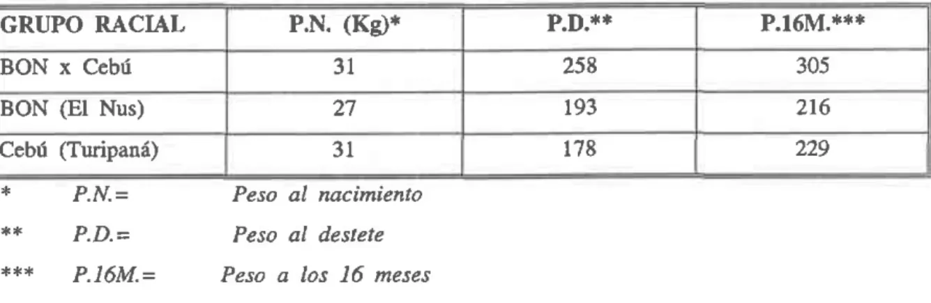TABLA  2.  homedios  de peso al  nacimiento, destete y  a  los  16 meses de  cruces BON  x  Cebú y  de los animales puros BON  y  Cebú.