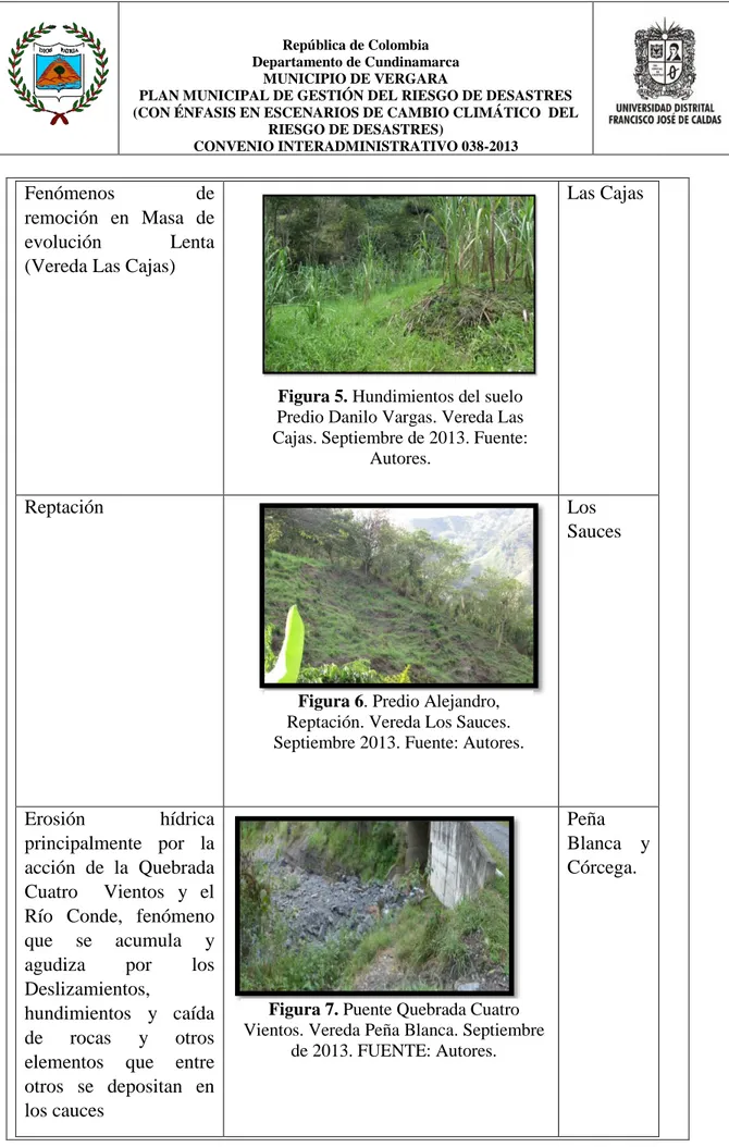 Figura 5. Hundimientos del suelo  Predio Danilo Vargas. Vereda Las  Cajas. Septiembre de 2013