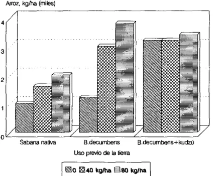 FIGURA 8. Efectos residuales de pasturas de  B. decumbens  solo yaso- yaso-ciado con  Pueraria phaseoloides,  en la productividad y respuesta al N 