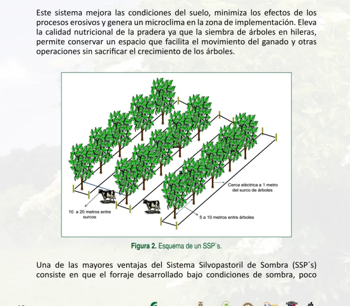 Figura 2. Esquema de un SSP`s.