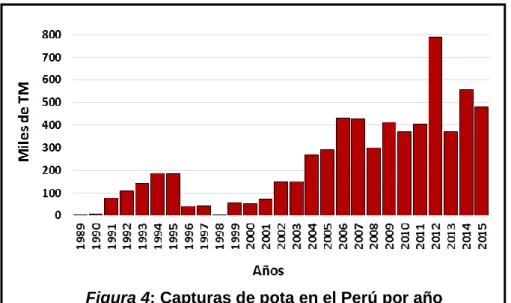 Figura 4: Capturas de pota en el Perú por año 