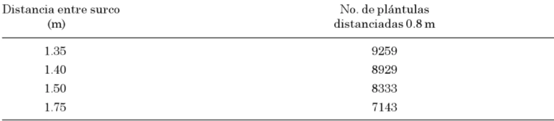 Cuadro 3. Cantidad de plántulas requeridas para una hectárea de caña de azúcar.
