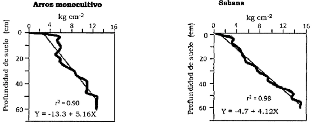 Figura 1. Resistencia a la penetración bajo condición de arroz monocultivo, en comparación con sabana.