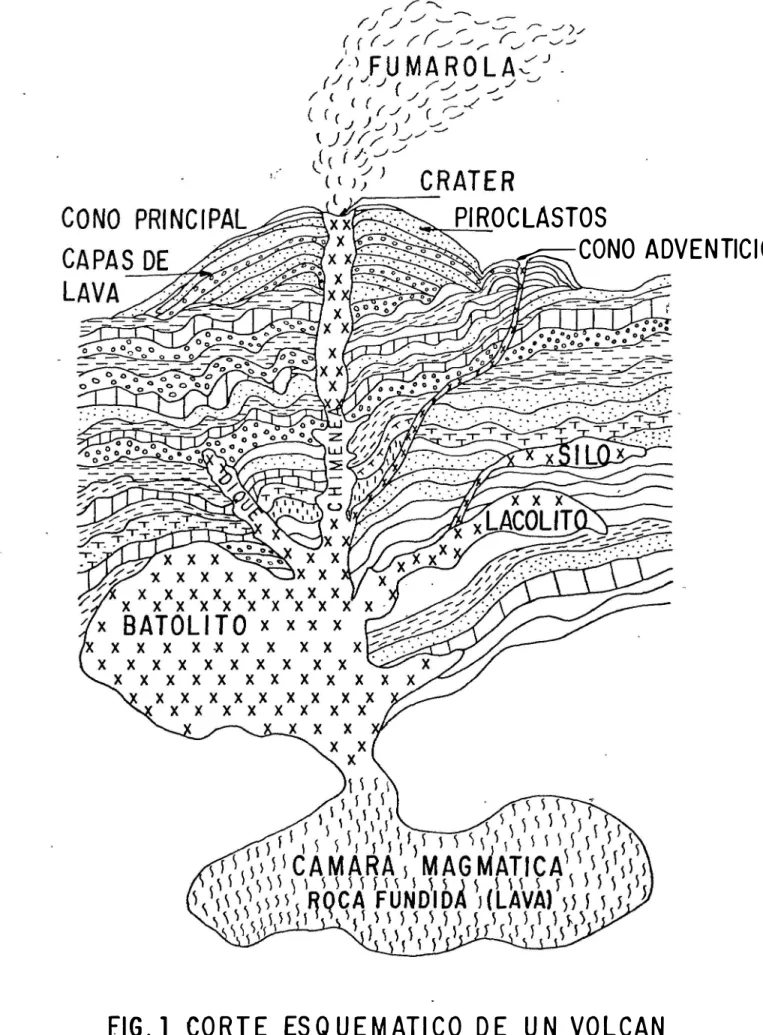 FIG. l  CORTE  ESQUEMATICO DE  UN  VOLCAN 