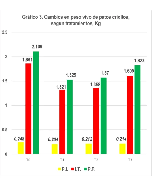 Gráfico 3. Cambios en peso vivo de patos criollos,  segun tratamientos, Kg 
