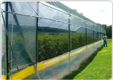 Figura 1.22. Ventanas para ventilación