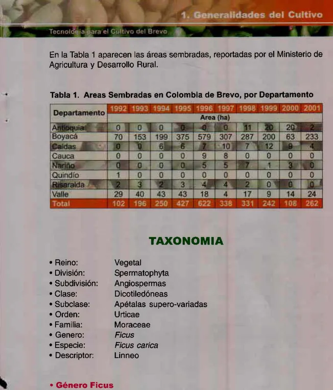 Tabla 1.  Areas Sembradas en Colombia de Brevo, por Departamento 