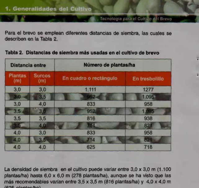 Tabla 2.  Distancias de siembra más usadas en el cultivo de brevo  Número de plantas/ha 
