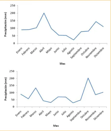 Figura 15. Comportamiento de la precipitación bajo condiciones de (arriba)  Palmira ubicado a 1.011 msnm y (abajo) Río Frío ubicado a 1.600 msnm