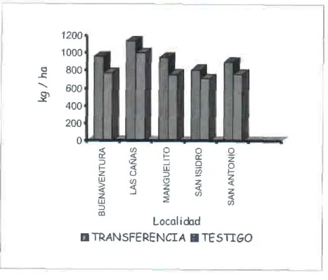 Figura 2  Comparación  de rendirhientos  de algodón  fibra oblenidos  por tos CADET parcelas de transferenc¡a  y testigo en el Valle del Sinú.1999 - 2000