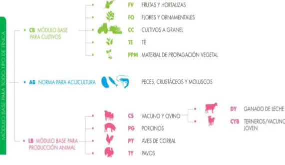 Figura 2: Modulo Base para todo Tipo de Finca.