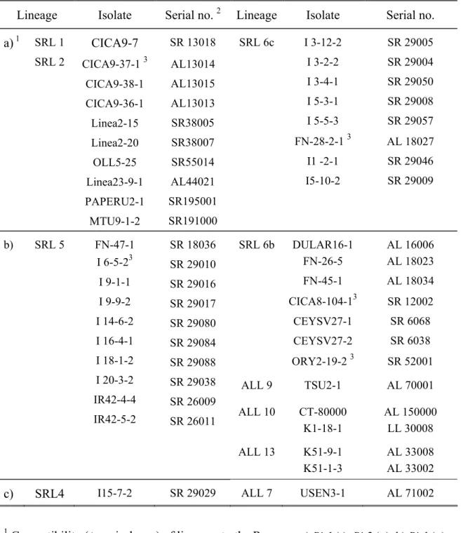 Table 3.  Features of the isolates used for testing the pyramids, by MGR lineages. 